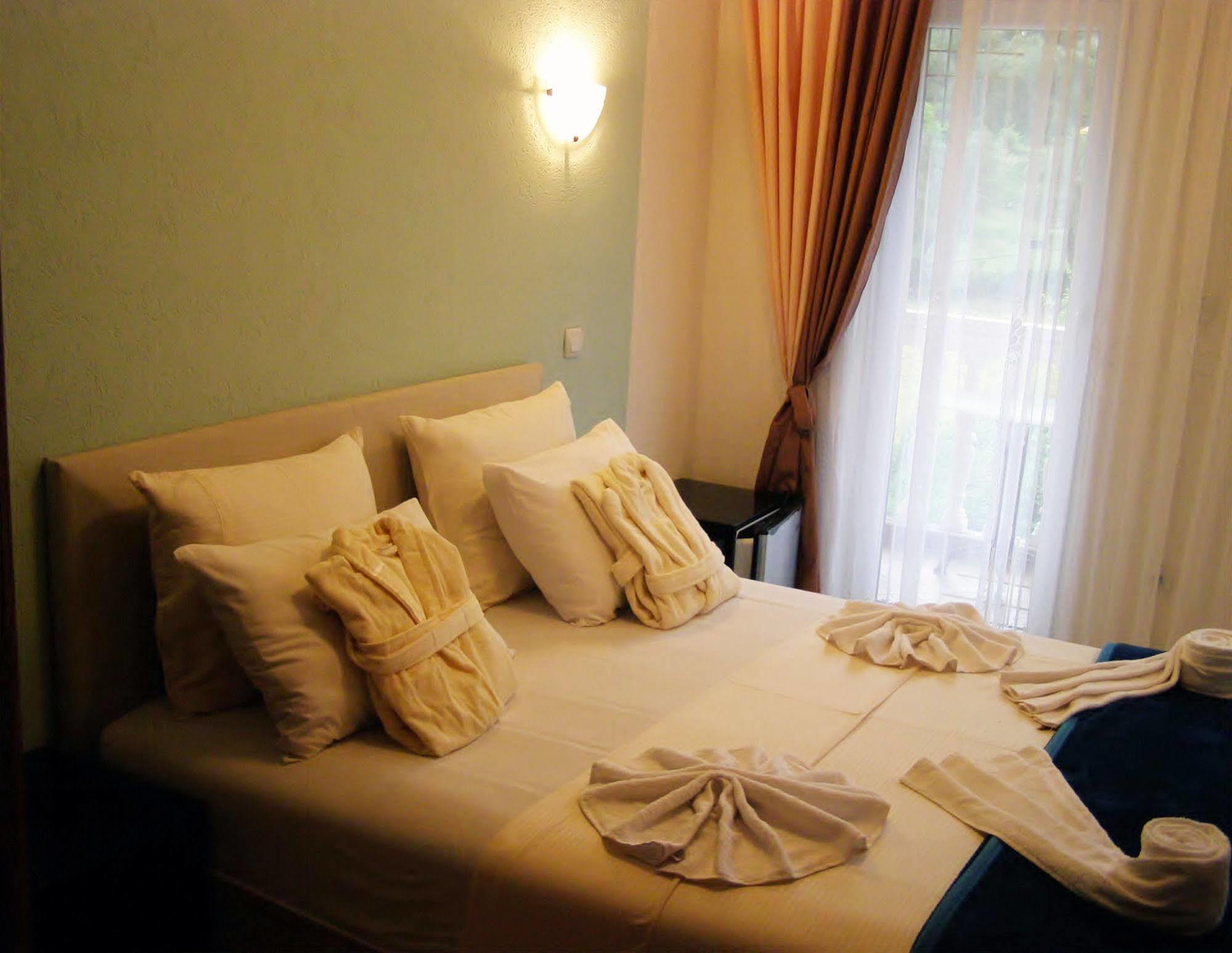 Hotel Wellness & Spa Angelo Gabriel Petrovac Exterior foto